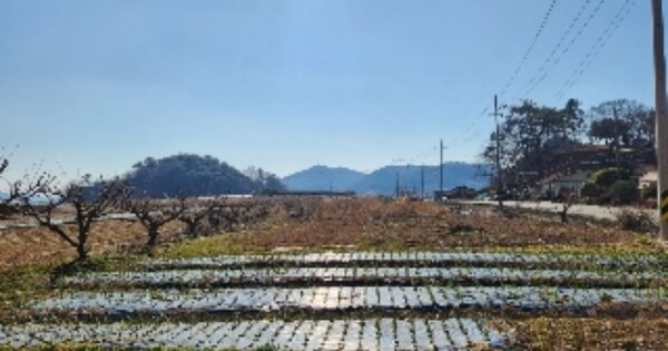 전라남도 순천시 별량면 우산리 OOOOO 답 경매 물건 이미지