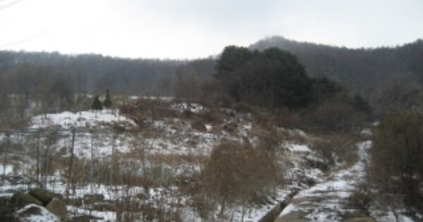 충청북도 괴산군 청안면 장암리 OOOOO 전 경매 물건 이미지