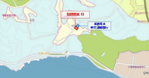 전라남도 함평군 손불면 석창리 OOOOO 대지 경매 물건 이미지