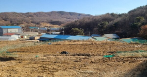 경기도 용인시 처인구 모현읍 매산리 OOOOOOO 임야 경매 물건 이미지
