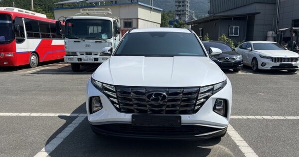 전라남도 완도군 보길면 정자리 OOOOO 기타차량 경매 물건 이미지