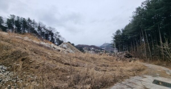 경기도 가평군 조종면 신상리 OOO O OOO 임야 경매 물건 이미지