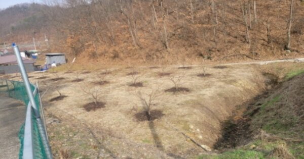 경상북도 경산시 남산면 평기리 OOO 답 경매 물건 이미지