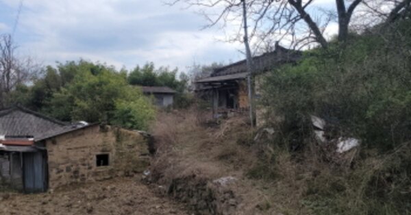 경상북도 영천시 임고면 효리 OOO 대지 경매 물건 이미지
