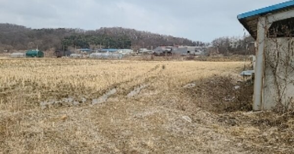 인천광역시 서구 대곡동 OOOOO 답 경매 물건 이미지