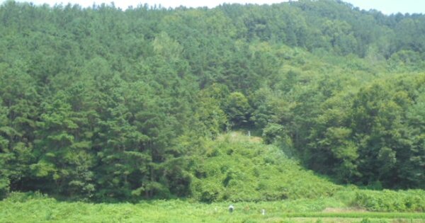 충청남도 논산시 연무읍 고내리 OOO 대지 경매 물건 이미지