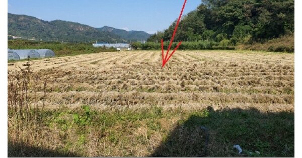 경상북도 성주군 초전면 용봉리 OOO O OOO 단독주택 경매 물건 이미지