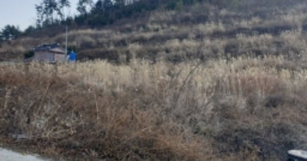 전라남도 고흥군 남양면 장담리 OOO 답 경매 물건 이미지