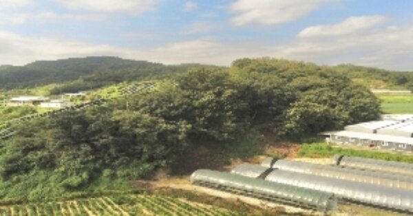 경상북도 김천시 조마면 강곡리 OOOOO O OOO 임야 경매 물건 이미지
