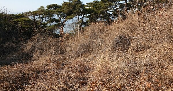 인천광역시 옹진군 덕적면 서포리 OOOO 임야 경매 물건 이미지
