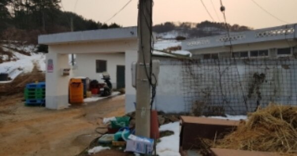 전라북도 고창군 해리면 금평리 OOO O OOO 대지 경매 물건 이미지