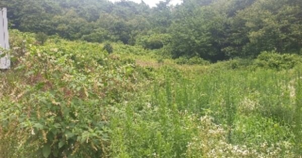 전라남도 보성군 문덕면 동산리 OOOO 답 경매 물건 이미지