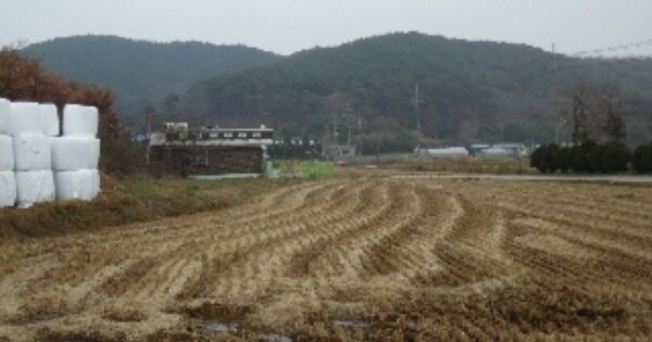 충청남도 당진시 정미면 신시리 OO O OOO 동물 및 식물 관련시설 경매 물건 이미지