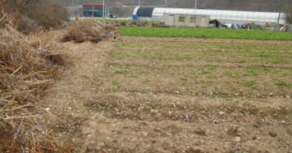 충청남도 당진시 정미면 신시리 OOOOO O OOO 전 경매 물건 이미지