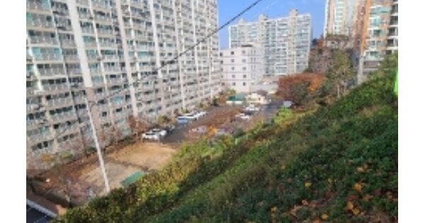 광주광역시 남구 주월동 OOOOOO 임야 경매 물건 이미지