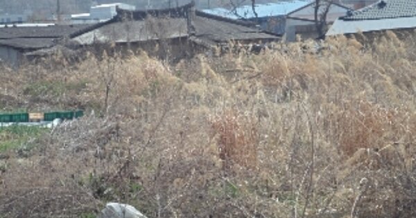 경상남도 창녕군 고암면 억만리 OOOOO O OOO 전 경매 물건 이미지
