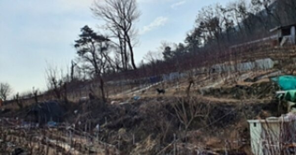 경상남도 김해시 대동면 덕산리 OOOOOO 전 경매 물건 이미지