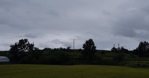 경상북도 의성군 다인면 삼분리 OOOOOO O OOO 임야 경매 물건 이미지