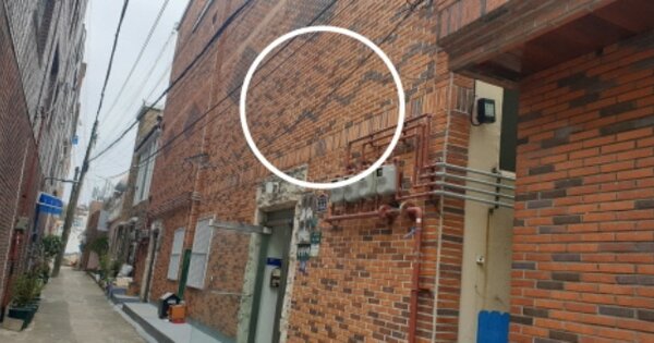 부산 서구 동대신동2가 OOOOOOO OOOOOO 다세대주택 경매 물건 이미지
