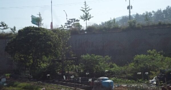경상남도 밀양시 교동 OOO 답 경매 물건 이미지