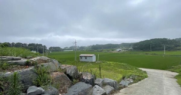 충청남도 보령시 웅천읍 OOOO OO O OOO 단독주택 경매 물건 이미지