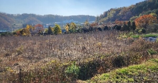 충청북도 제천시 봉양읍 연박리 OOOO 전 경매 물건 이미지