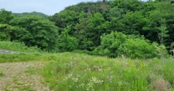경상북도 경주시 진현동 OOO 답 경매 물건 이미지
