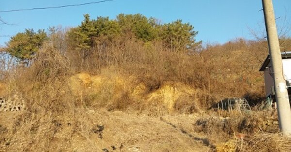 충청남도 공주시 석장리동 OOOOO 임야 경매 물건 이미지