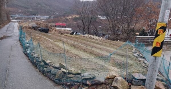 충청남도 공주시 반포면 마암리 OO 답 경매 물건 이미지
