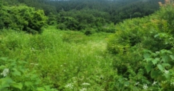 경상남도 통영시 도산면 수월리 OOO 전 경매 물건 이미지