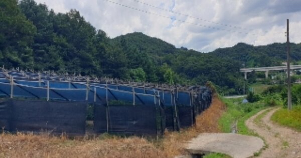 충청북도 충주시 살미면 설운리 OOO 전 경매 물건 이미지