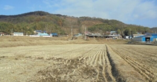 충청남도 부여군 충화면 현미리 OOOOO O OOO 답 경매 물건 이미지