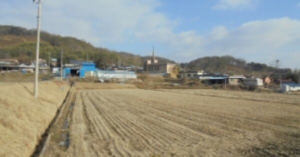충청남도 부여군 충화면 현미리 OOOOO 답 경매 물건 이미지