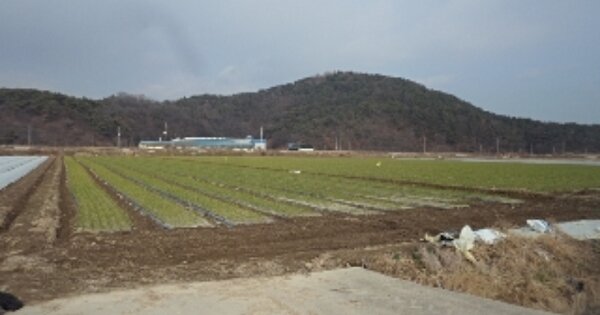 경상남도 창녕군 유어면 선소리 OOOOO O OOO 답 경매 물건 이미지