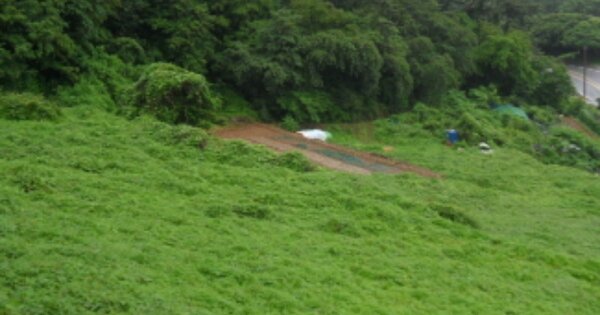 경상남도 남해군 남면 평산리 OOOOOO O OOO 전 경매 물건 이미지