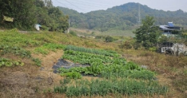 충청북도 충주시 연수동 OOO O OOO 과수원 경매 물건 이미지