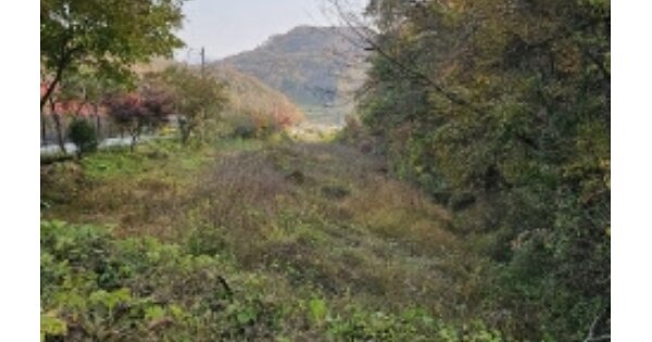 충청북도 충주시 노은면 대덕리 OOO 전 경매 물건 이미지
