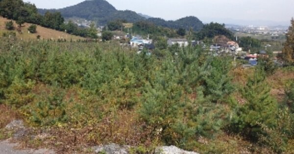 충청북도 충주시 가주동 OOOOOO O OOO 임야 경매 물건 이미지
