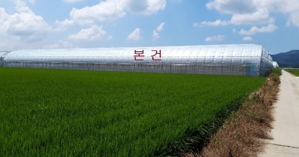 전라남도 영암군 군서면 모정리 OOOOOOO 답 경매 물건 이미지
