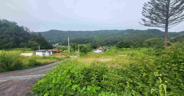 경기도 양평군 지평면 무왕리 OOOOO O OOO 전 경매 물건 이미지