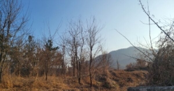 경상북도 포항시 북구 기계면 성계리 OOOOO O OOO 답 경매 물건 이미지