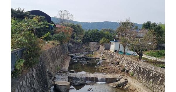 서울특별시 서초구 내곡동 OOOOOOO 임야 경매 물건 이미지