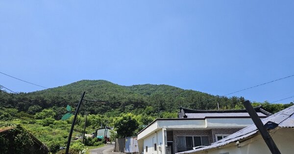 경상남도 고성군 대가면 양화리 OOOOO 임야 경매 물건 이미지