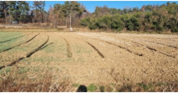 전라북도 군산시 임피면 보석리 OOO O OOO 대지 경매 물건 이미지