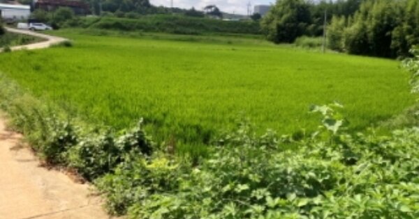 충청남도 당진시 송악읍 오곡리 OOOOO O OOO 답 경매 물건 이미지