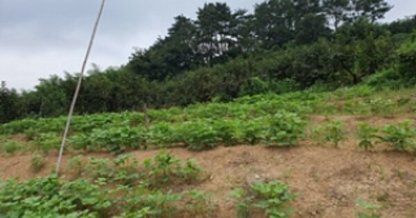 경상남도 김해시 진영읍 설창리 OOOOO O OOO 전 경매 물건 이미지