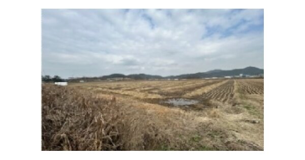 전라남도 무안군 일로읍 망월리 OOO 답 경매 물건 이미지