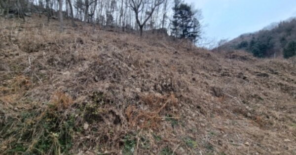 경기도 남양주시 조안면 시우리 OOO 전 경매 물건 이미지