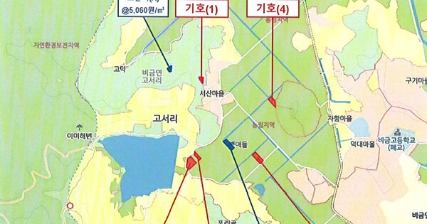 전라남도 신안군 비금면 고서리 OOOOOO 답 경매 물건 이미지