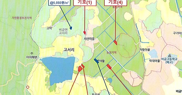 전라남도 신안군 비금면 고서리 OOOOOO 답 경매 물건 이미지